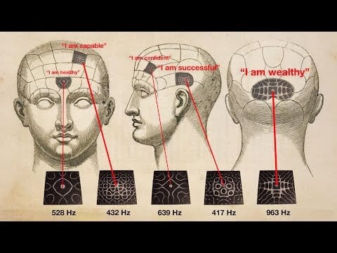 law of attraction course